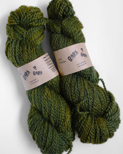 Aran Romney/Gotland from Montana
