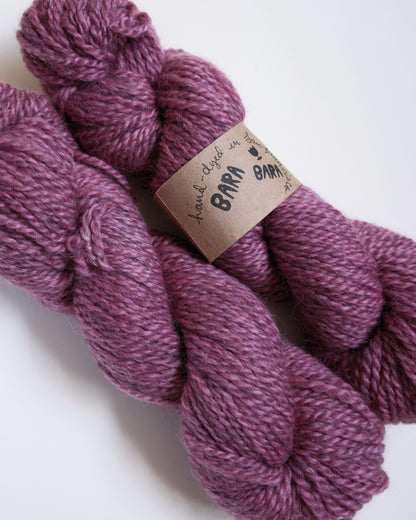 Aran Romney/Gotland from Montana