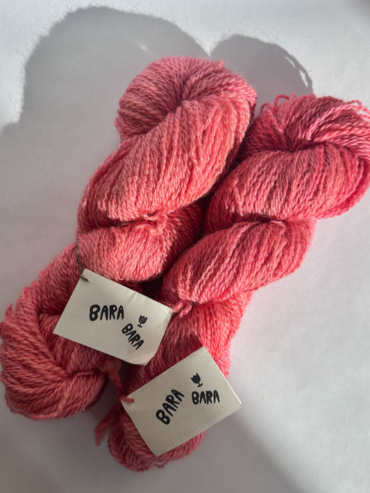 DK Romney/Gotland from Montana